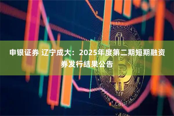 申银证券 辽宁成大：2025年度第二期短期融资券发行结果公告