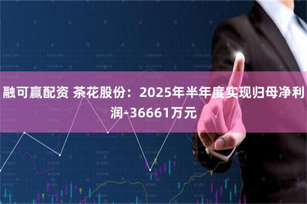 融可赢配资 茶花股份:2025年半年度实现归母净利润-36661万元